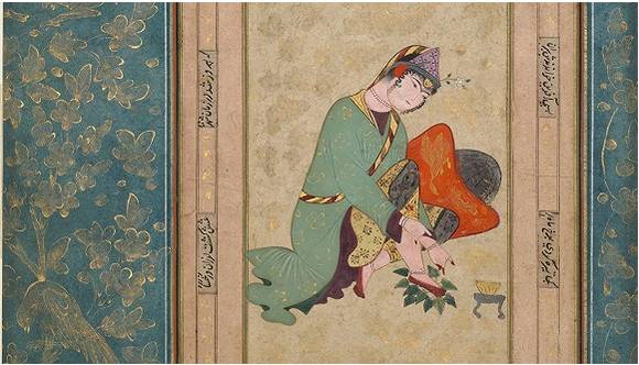 鍗佹寚钄讳腹,鍙や唬鏌撶敳鍘嗗彶