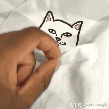 潮牌最强王者,不要再怂了!不如让这只贱猫帮你出头!