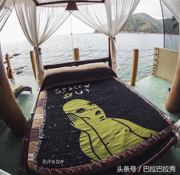 潮牌最强王者,不要再怂了!不如让这只贱猫帮你出头!