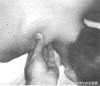 肩关节软组织损伤康复的最佳方法,损伤类疾病的康复训练