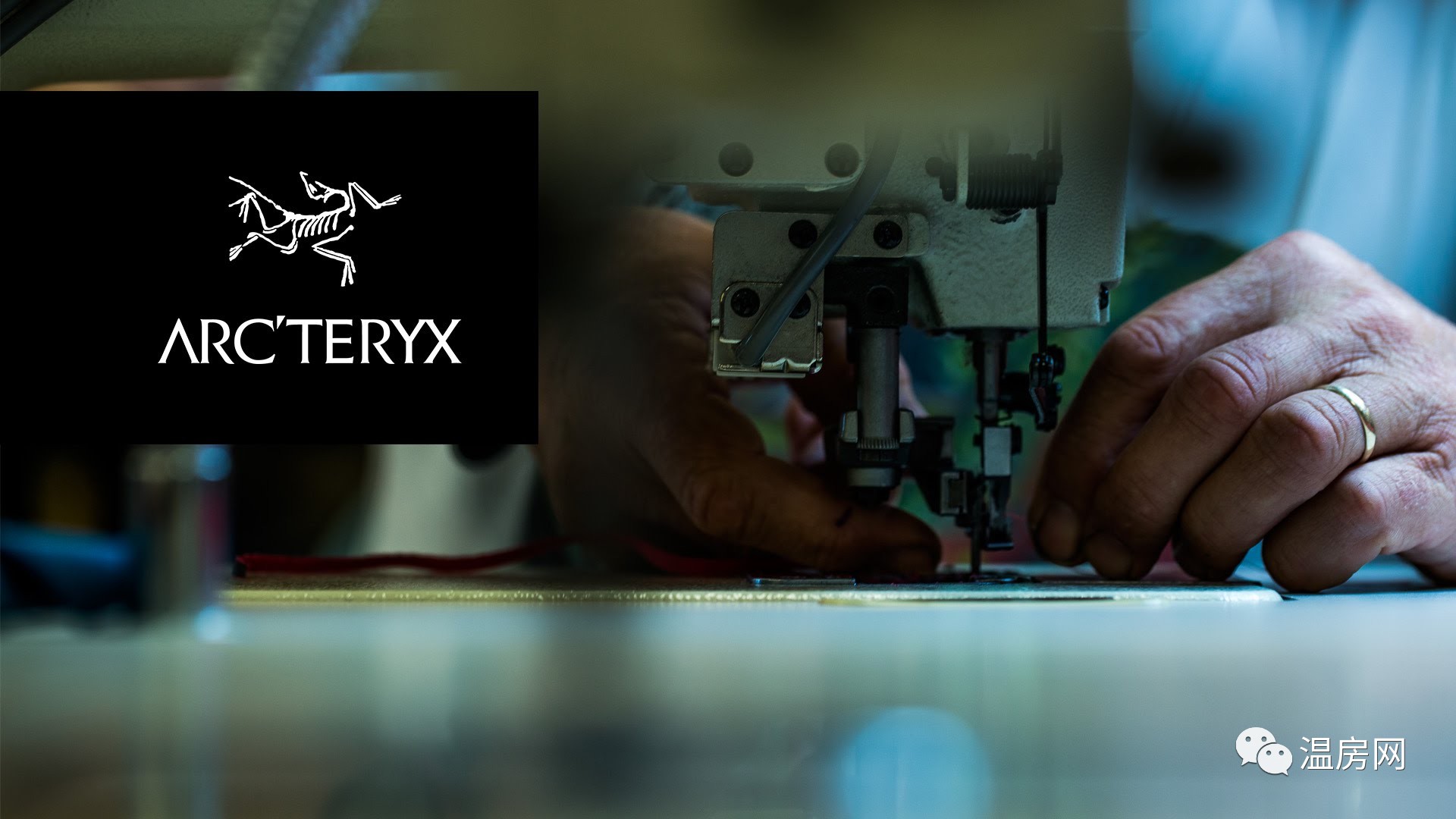 始祖鸟和加拿大鹅羽绒服哪个好,始祖鸟加拿大鹅