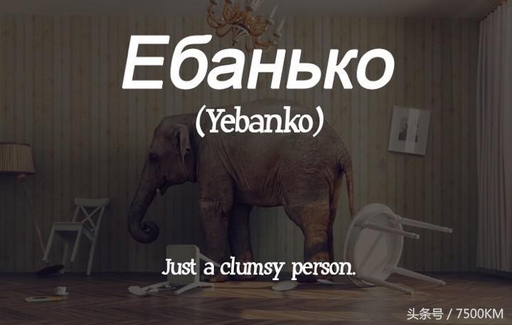 外国的骂人英文怎么说,国外骂人英文