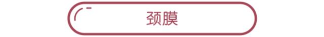颈纹和皱纹哪个容易暴露,颈纹显老教你怎么消除