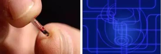 太阳眼镜支付、虎口植入员工证？歪果仁会玩系列