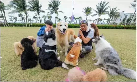 遛狗一年赚200万,帮别人遛狗的一个月可以赚多少