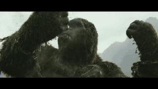 不是每个司机都有好的人品,不是每个司机都是好司机