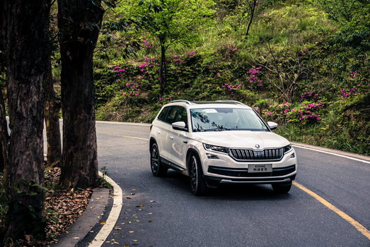 2022斯柯达柯迪亚克和途观l怎么选,柯迪亚克七座哪款性价比最高