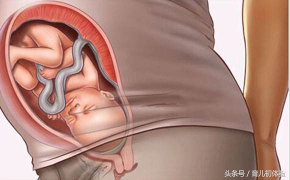 孕晚期怎么判断胎儿有没有危险,孕晚期怎么判定假性宫缩