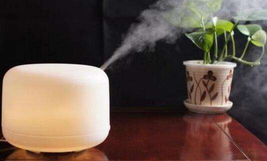 红掌总是黄叶怎么回事,红掌老是黄叶怎么办