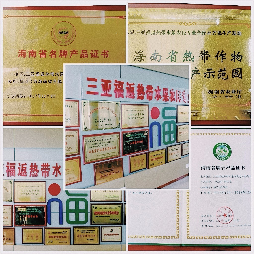 贵妃芒是酸芒果吗,芒果好吃还是贵妃芒