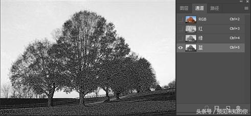 零基础ps抠图换背景详细步骤,ps局部换背景图片教程