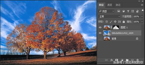 零基础ps抠图换背景详细步骤,ps局部换背景图片教程