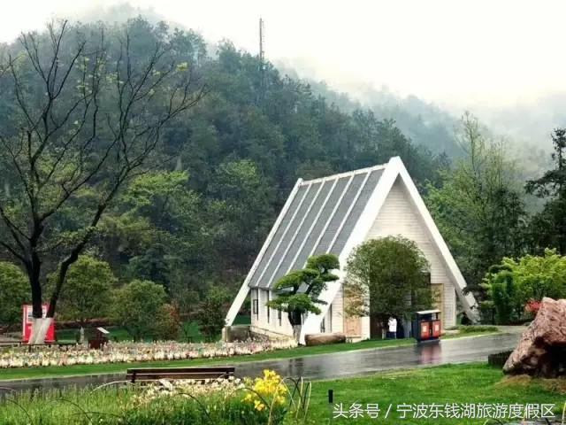 南苑花博园郁金香,除了郁金香还有什么花好看