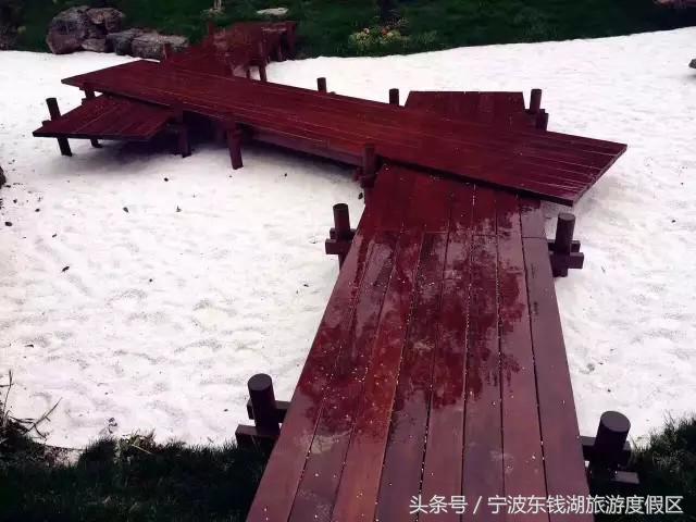 南苑花博园郁金香,除了郁金香还有什么花好看