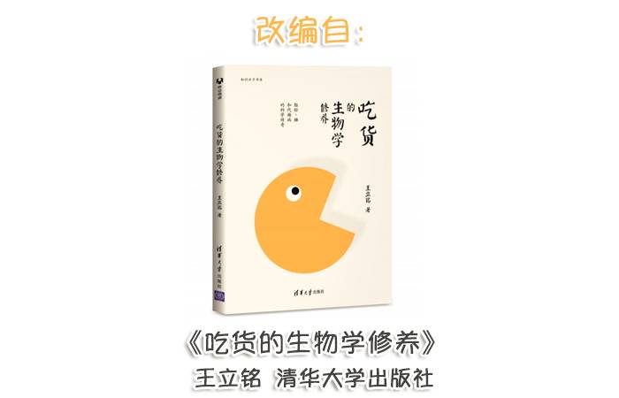 节食减肥怎么减,节食减肥能减多少