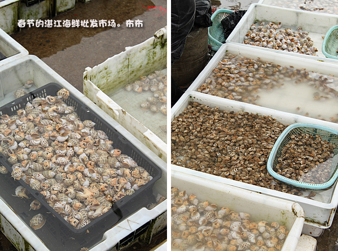 湛江本地人都爱去的地方,湛江一个人去的景点有哪些