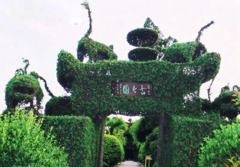 世界那么大!我想去看看之山东菏泽!