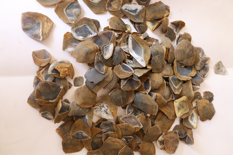 宝妈们乳汁缺乏怎么办?不妨试试这个中医妙方!