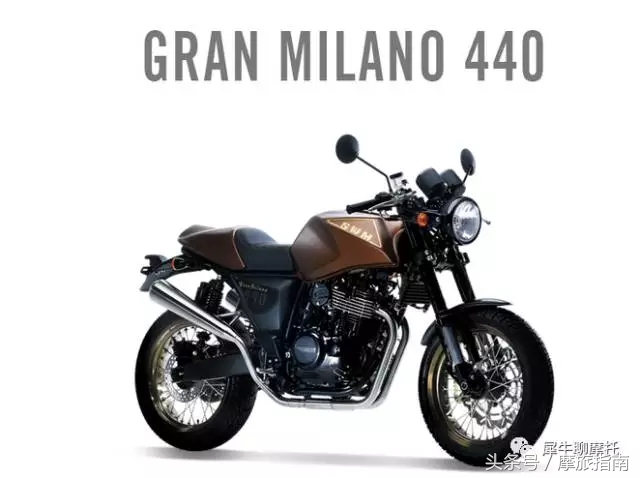 乱花渐欲迷人眼现实版,乱花渐欲迷人眼是什么花