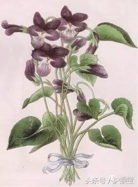 视觉感极强的游戏,盘点视觉游戏