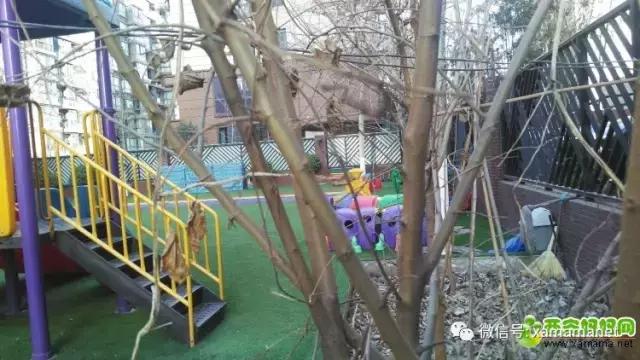 为孩子择校焦虑,为孩子择校焦虑幼儿园