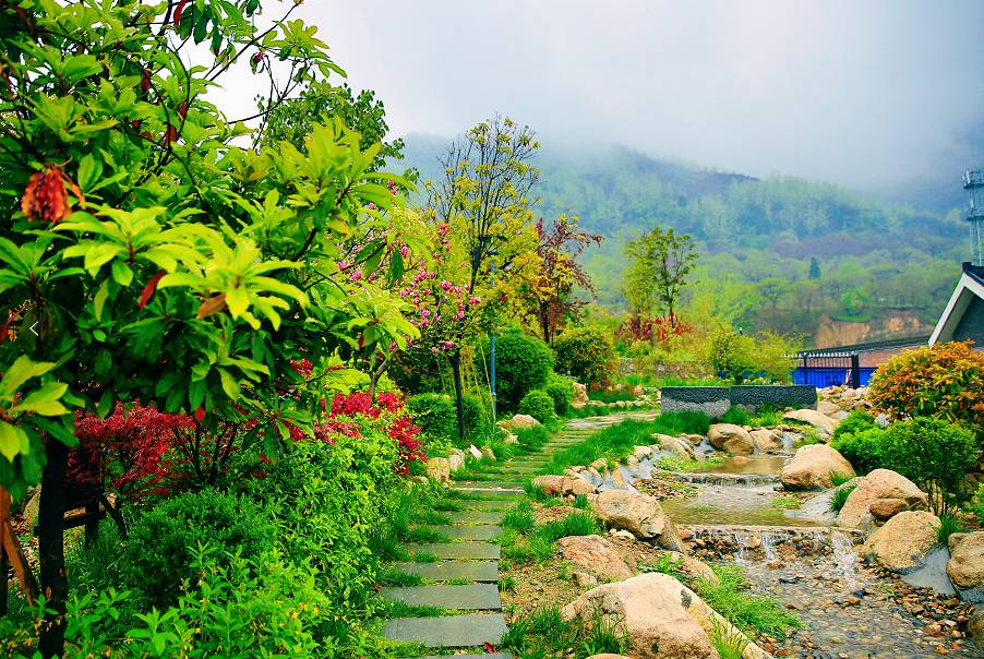 有一种美叫诗意,有一种美叫美人