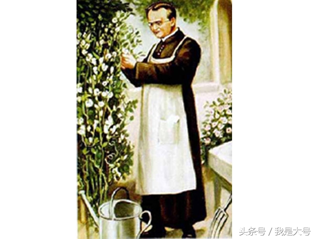 植物转基因技术流程,转基因技术的迅猛发展