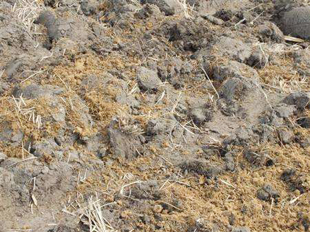 盆栽花卉全用营养土可以吗,怎样配制夏天花卉营养土