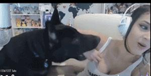 情侣小游戏恐怖版,情侣之间千万不能玩的小游戏