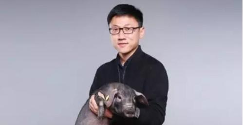 丁磊养猪成功案例,丁磊养猪的创业思维
