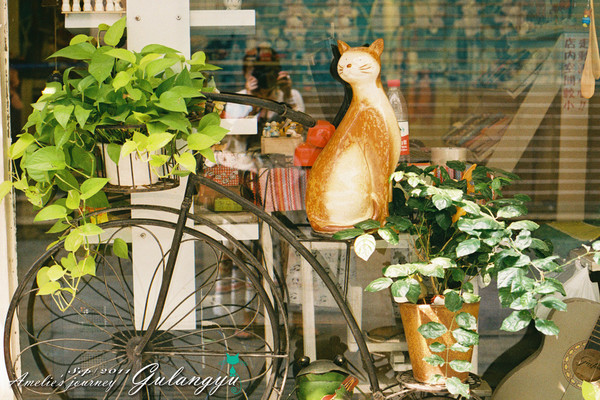 鼓浪屿旅行攻略大全,鼓浪屿旅行攻略大全最新