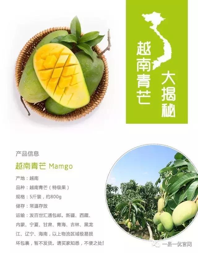 越南进口芒果大青芒,新果上市云南特产零食