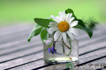 夏天快要到了，夏季养生需知