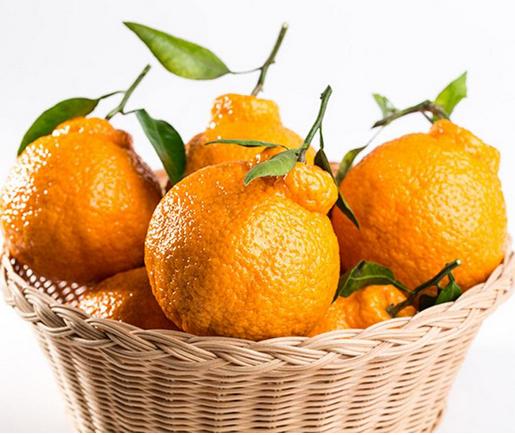 丑橘吃了是上火还是败火,丑橘的功效与作用上火吗