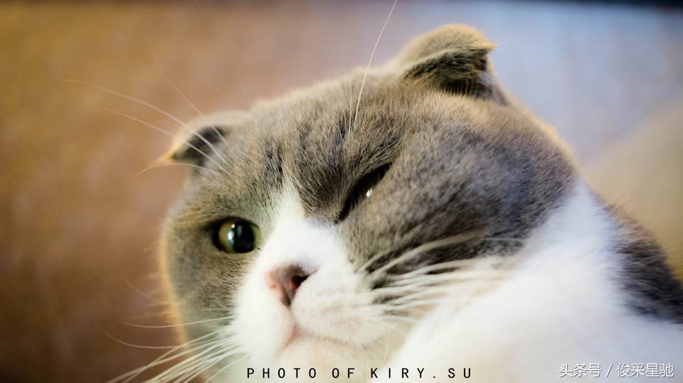 地球年龄之谜解密,凡胎肉身