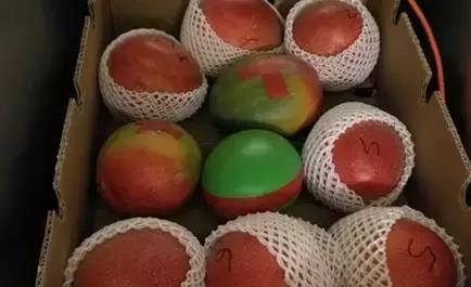 太阳眼镜支付、虎口植入员工证？歪果仁会玩系列