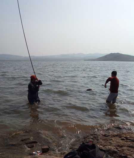 鱼拓手竿,钓巨型鱼手竿