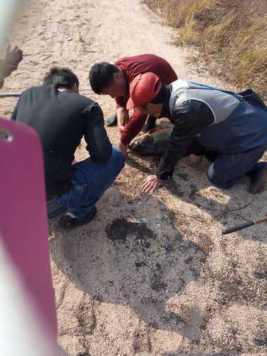 鱼拓手竿,钓巨型鱼手竿