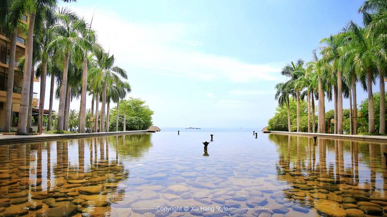 亚龙湾红树林，给你一个温馨的家