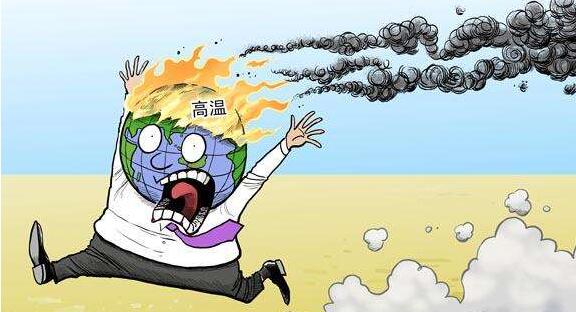 红掌总是黄叶怎么回事,红掌老是黄叶怎么办