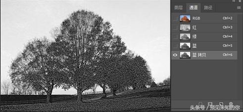 零基础ps抠图换背景详细步骤,ps局部换背景图片教程