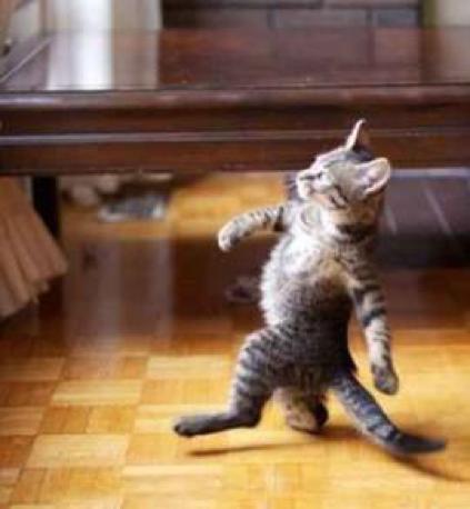 蒙娜丽莎细思极恐的真面目,蒙娜丽莎的一些细节