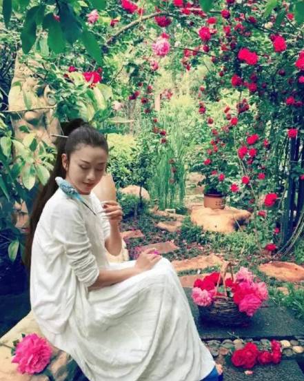 杨丽萍古装照片 (优雅女人杨丽萍)