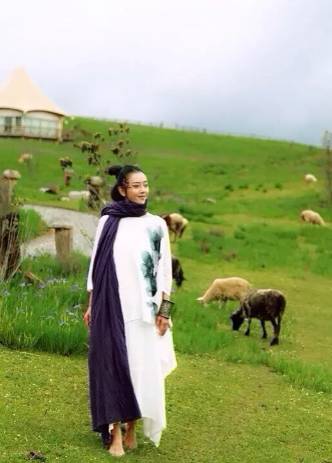 杨丽萍古装照片 (优雅女人杨丽萍)