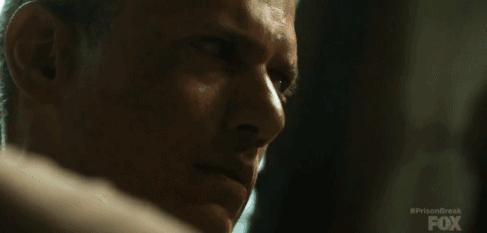 越狱第五季完整解析,越狱第五季未删减版免费观看