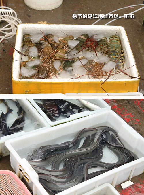 湛江本地人都爱去的地方,湛江一个人去的景点有哪些