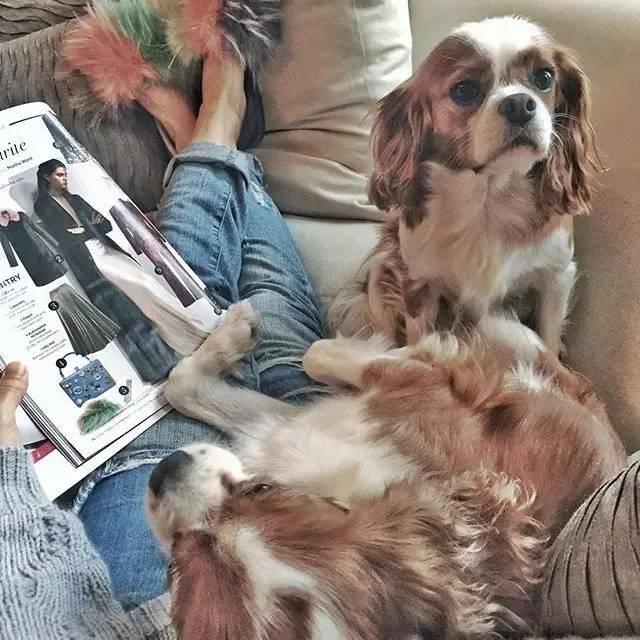 有款很贵却很丑的拖鞋,一双几十块的拖鞋值得买吗