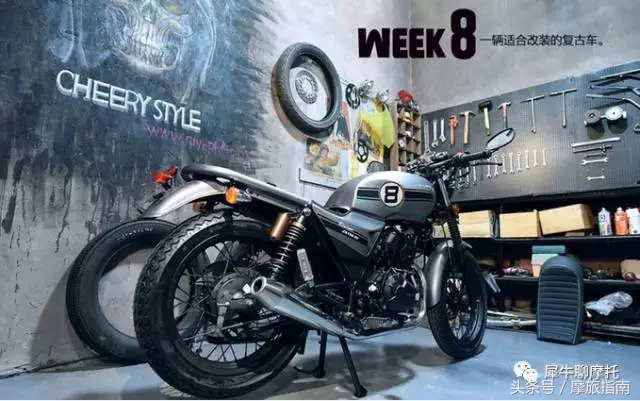 乱花渐欲迷人眼现实版,乱花渐欲迷人眼是什么花