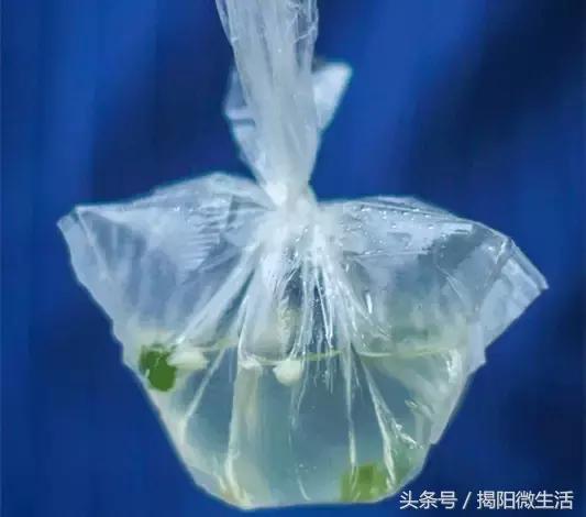 我们为什么留在揭阳,对不起我要离开了