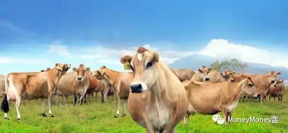 身在漩涡中的辉山到底怎么了?